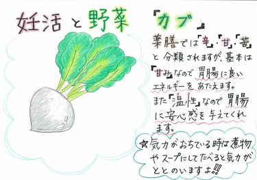 【妊活と野菜　　カブ】